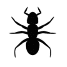 Bug Icon